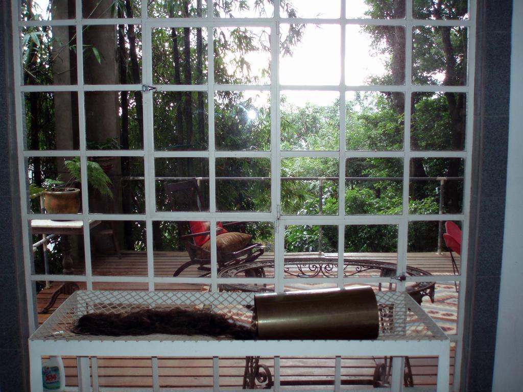 B&B Vitoria Regia Rio de Janeiro Cameră foto